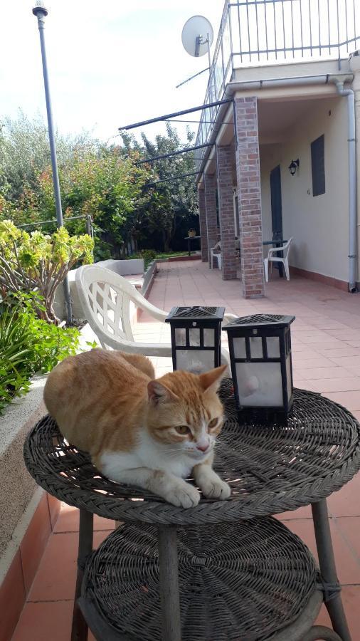 Carrubo - Giardino In Citta Villa Catania Ngoại thất bức ảnh